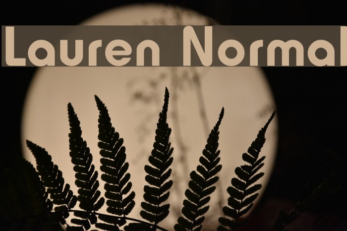 Lauren Normal Font examples
