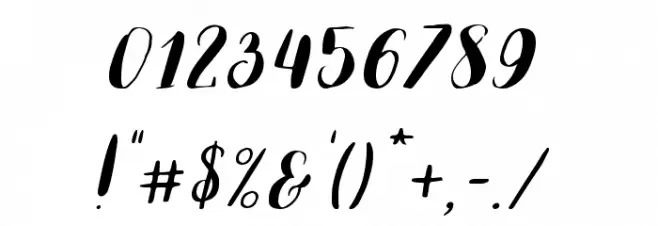 Lauren-Regular Font OTHER CHARS