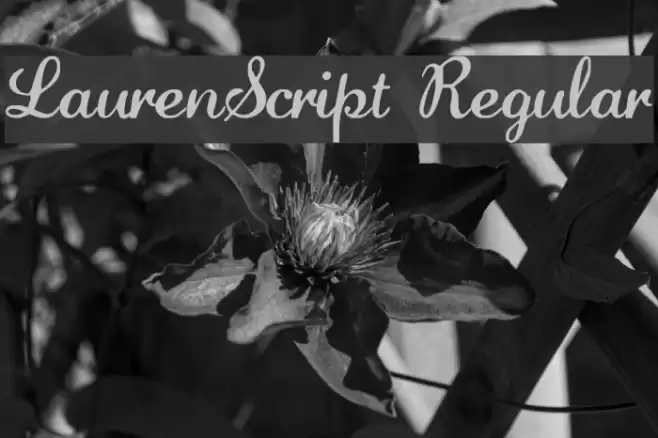LaurenScript Regular Font examples