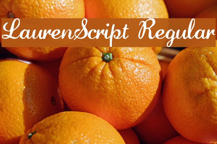 LaurenScript Regular Font examples