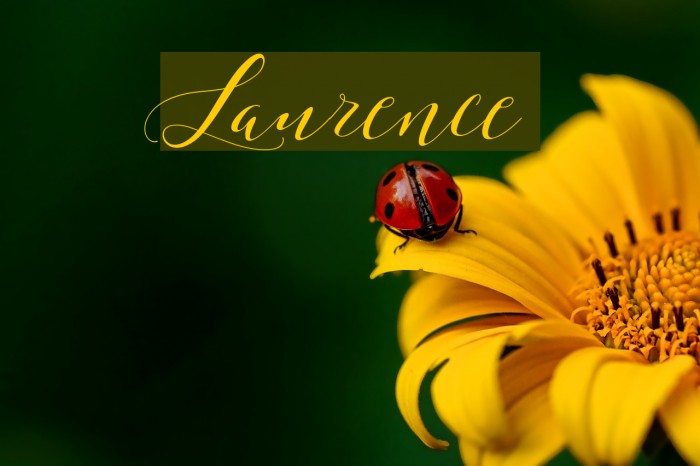 Laurence Font examples