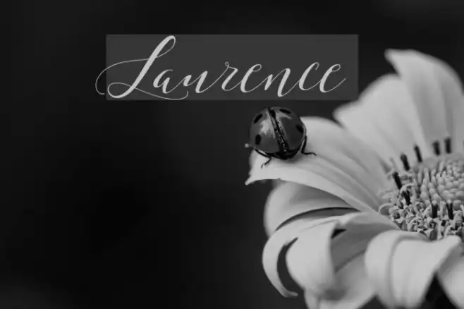 Laurence Example 1