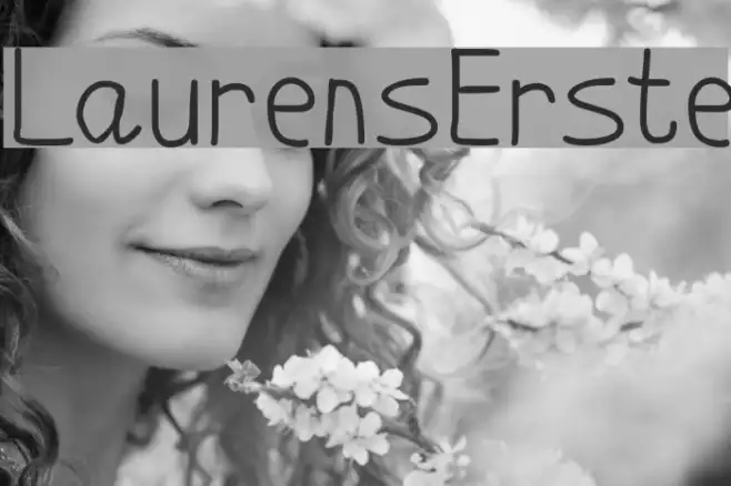 LaurensErste Example 1