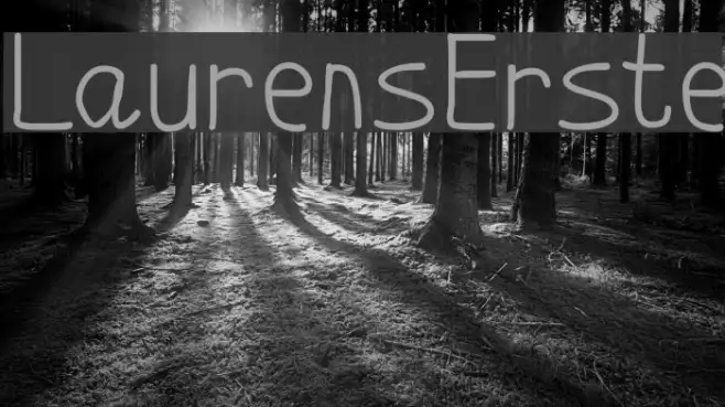 LaurensErste Example 2