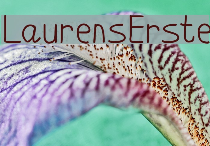 LaurensErste Font examples