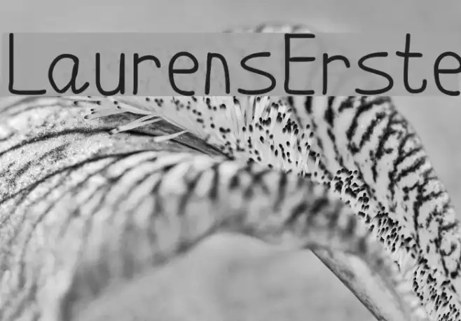 LaurensErste Example 3