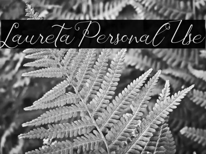 Laureta Personal Use Example 2