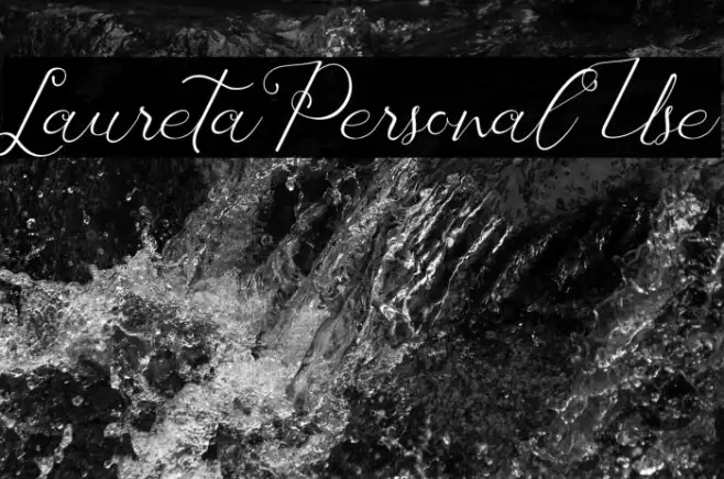 Laureta Personal Use Example 3