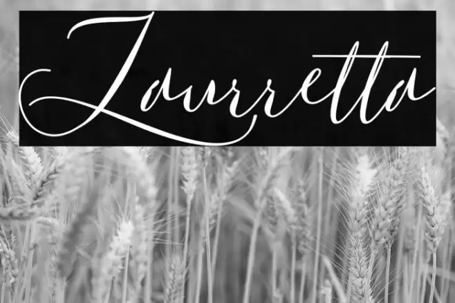 Laurretta Font examples
