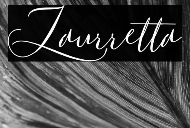 Laurretta Font examples