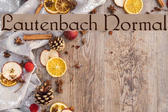 Lautenbach Normal Font examples