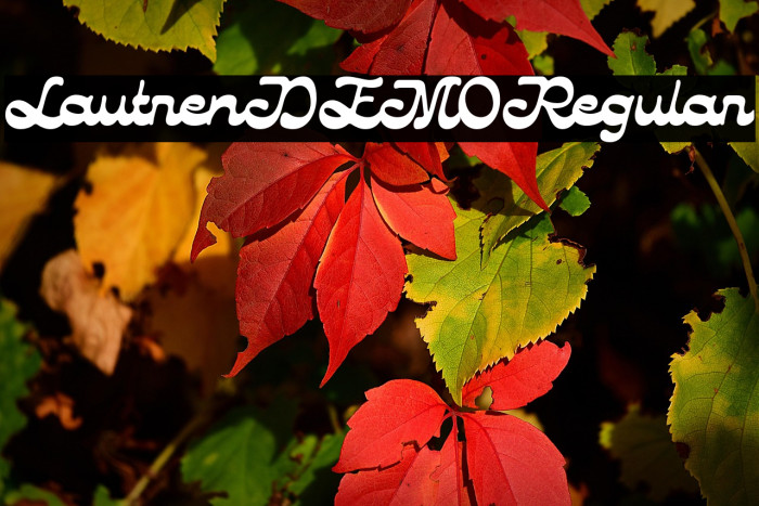 LautrenDEMO-Regular Example 2