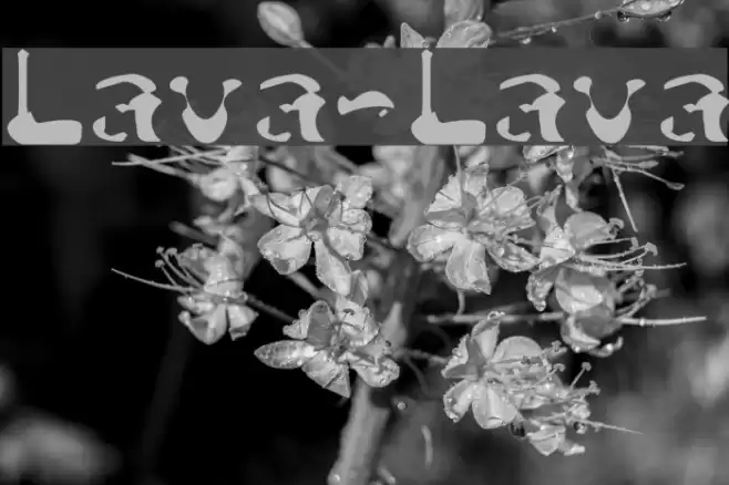 Lava-Lava Font examples