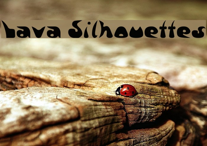 Lava Silhouettes Font examples