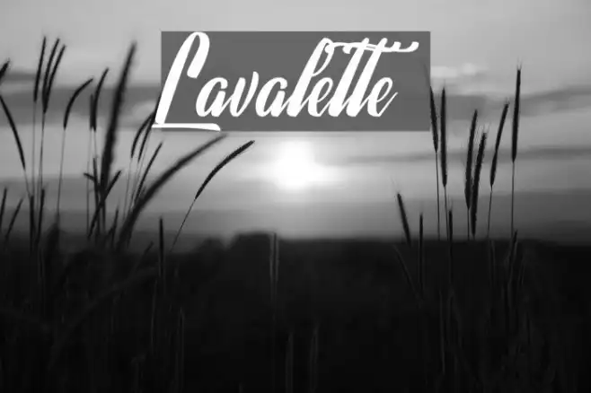 Lavalette Example 2