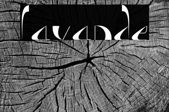 Lavande Font examples