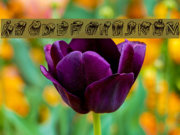 Lavender Rainstorm Font examples