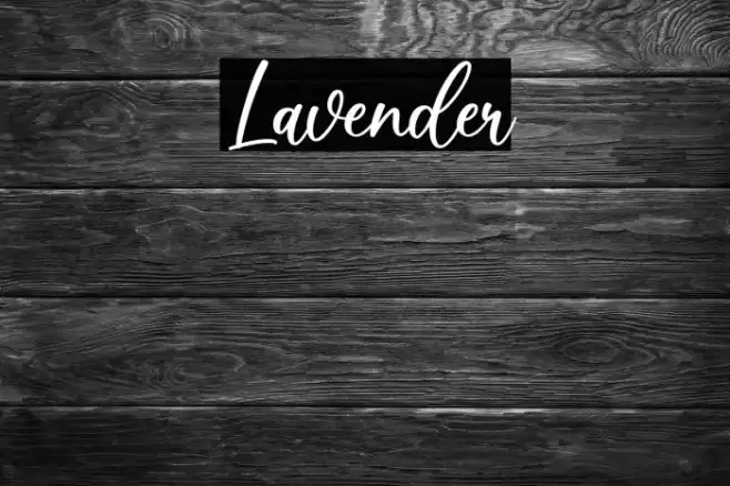 Lavender Fonte examples