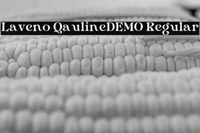 Laveno QaulineDEMO Regular Font examples
