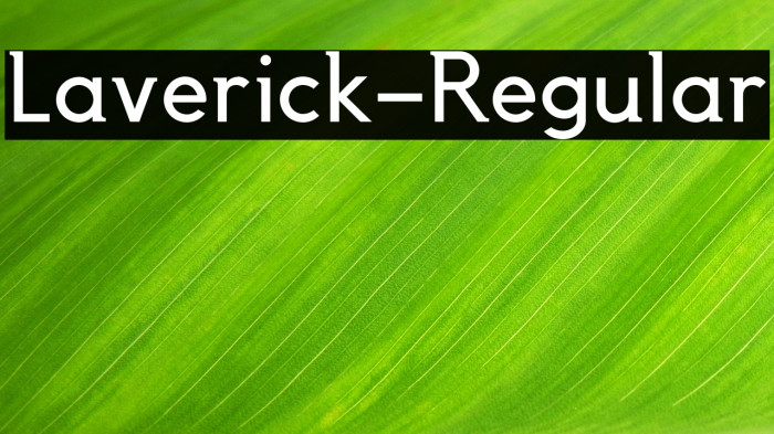 Laverick-Regular Example 1