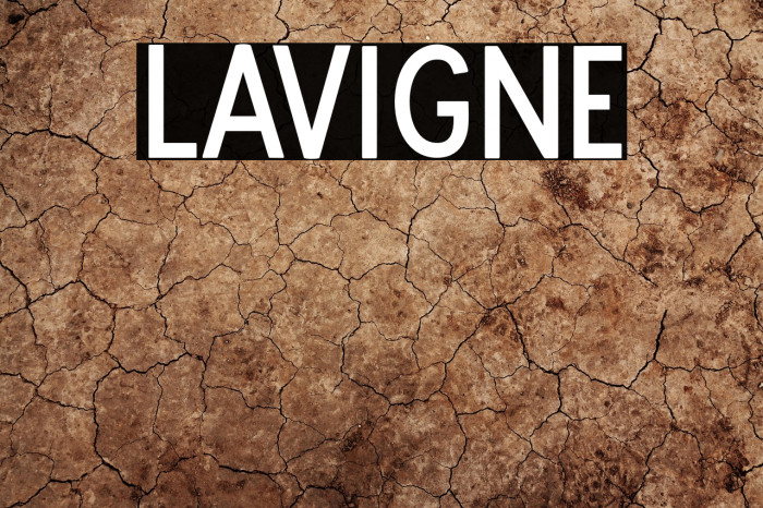 Lavigne Example 1