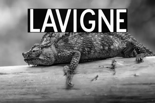 Lavigne Font examples