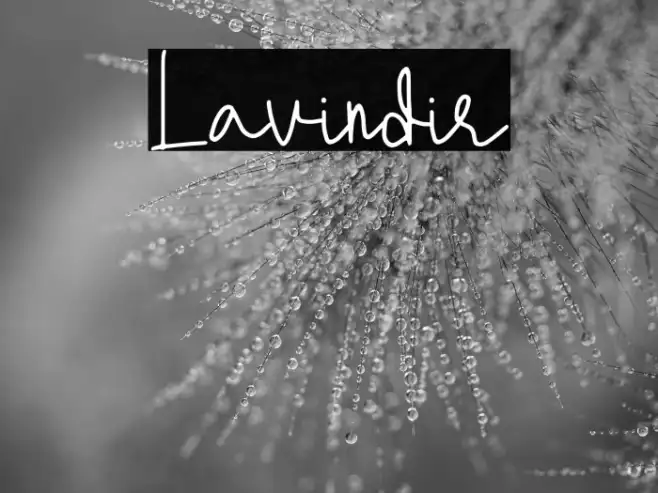 Lavindir Example 1