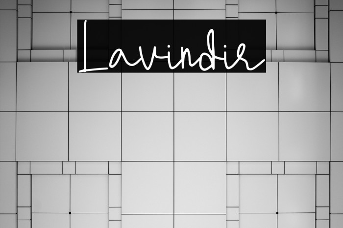 Lavindir Example 2