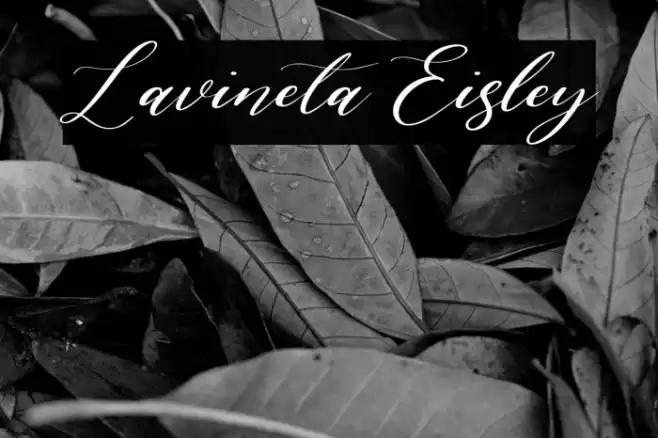 Lavineta Eisley Font examples