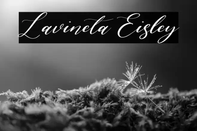 Lavineta Eisley Font examples