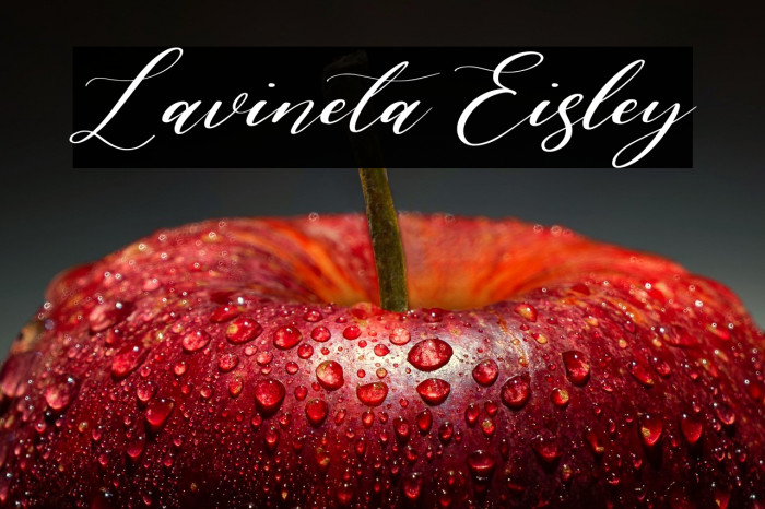 Lavineta Eisley Example 3