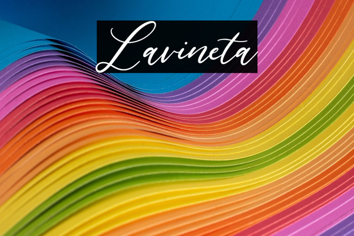 Lavineta Example 2