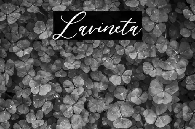 Lavineta Example 3