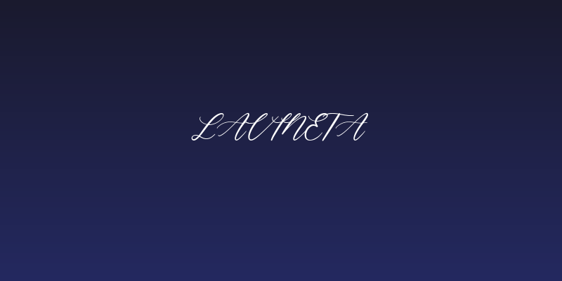 Lavineta Social Header