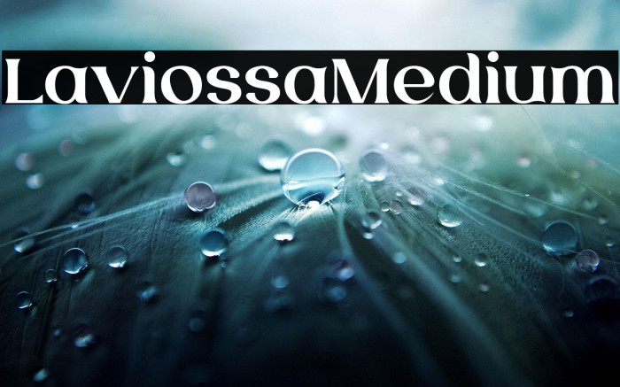 LaviossaMedium Example 1