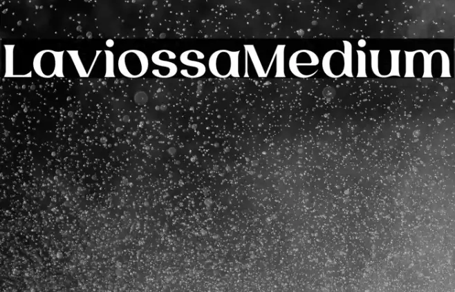 LaviossaMedium Example 2