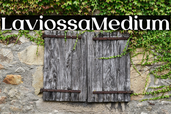 LaviossaMedium Example 3