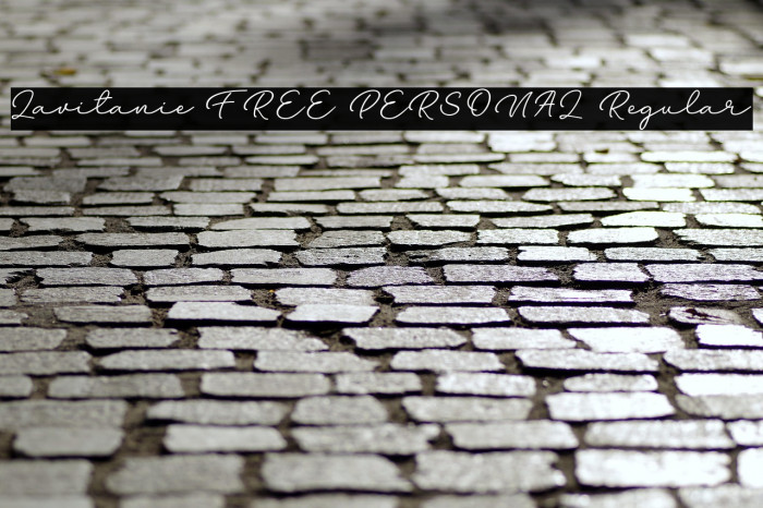 Lavitanie FREE PERSONAL Regular Example 1