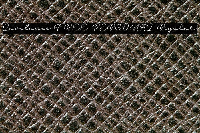 Lavitanie FREE PERSONAL Regular Example 2