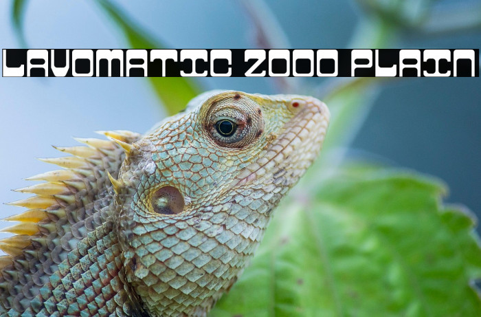 Lavomatic 2000 Plain Example 1