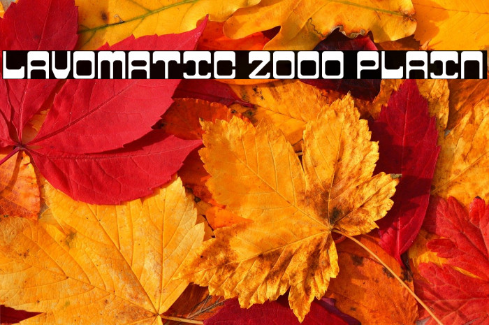 Lavomatic 2000 Plain Example 2