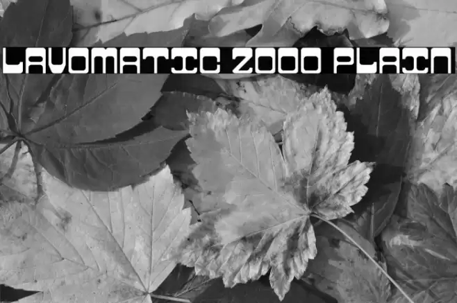 Lavomatic 2000 Plain خط examples