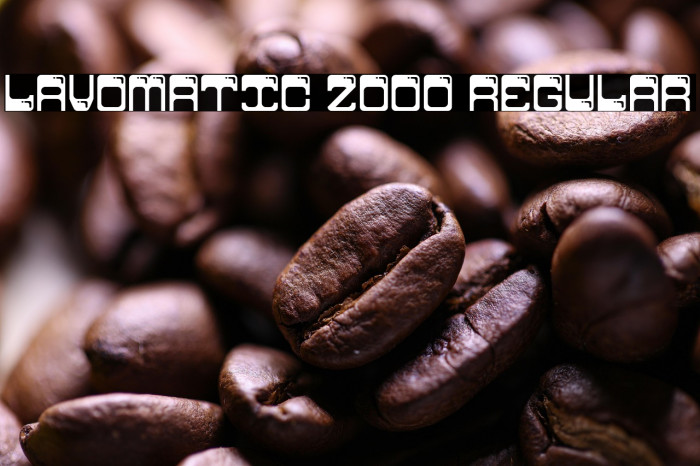 Lavomatic 2000 Regular Example 1