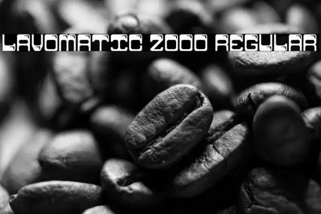 Lavomatic 2000 Regular Example 1