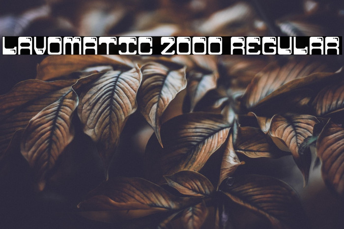 Lavomatic 2000 Regular Example 3