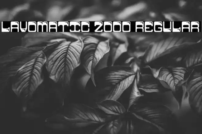 Lavomatic 2000 Regular Example 3