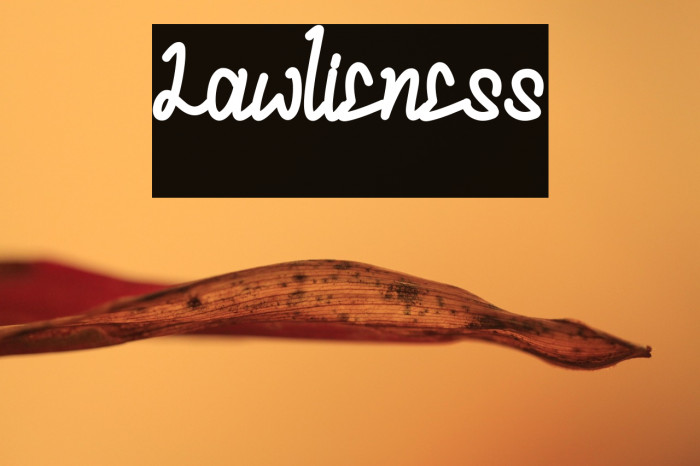 Lawlieness Example 2