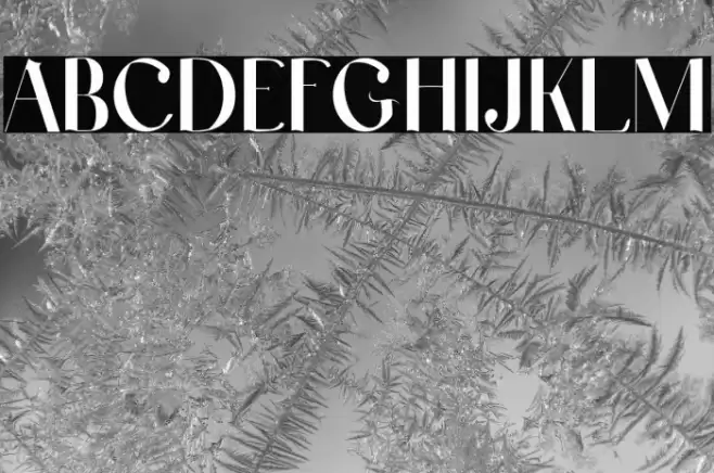 Laxical Font examples