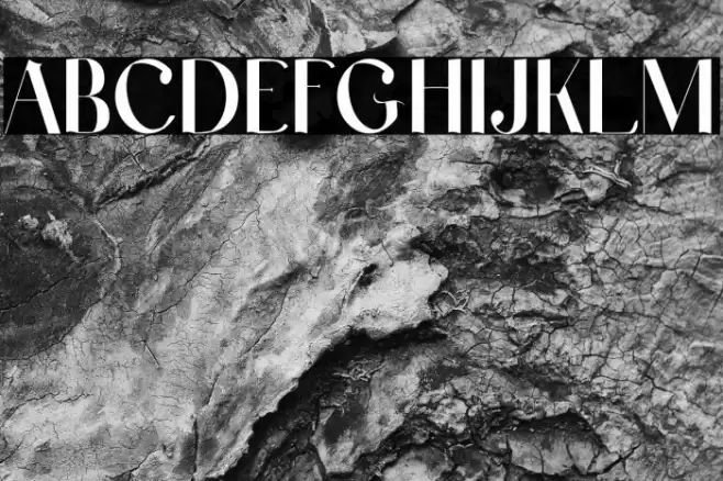 Laxical Font examples