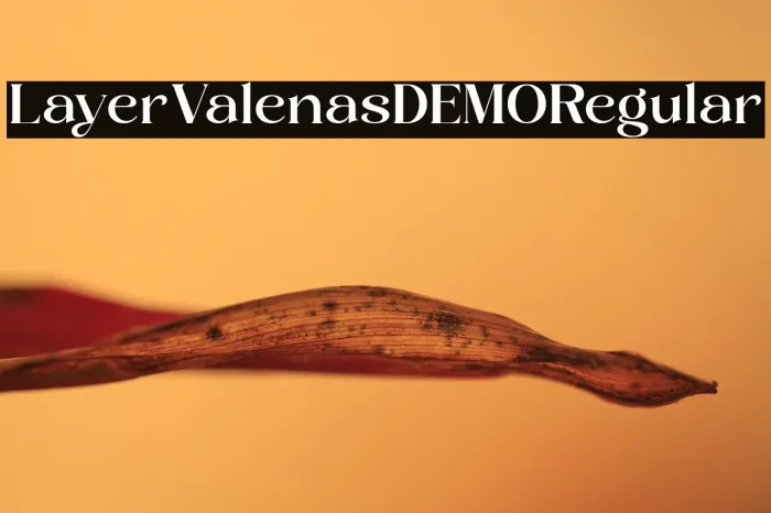 Layer Valenas DEMO Regular Example 2